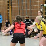 2016_01_23 Landesliga Frauen